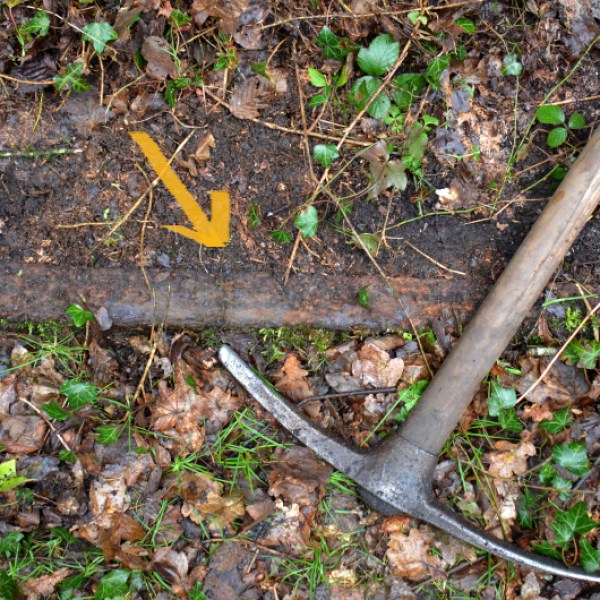 a person lying on the grass
