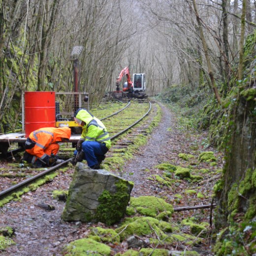 a train traveling down train tracks near a forest