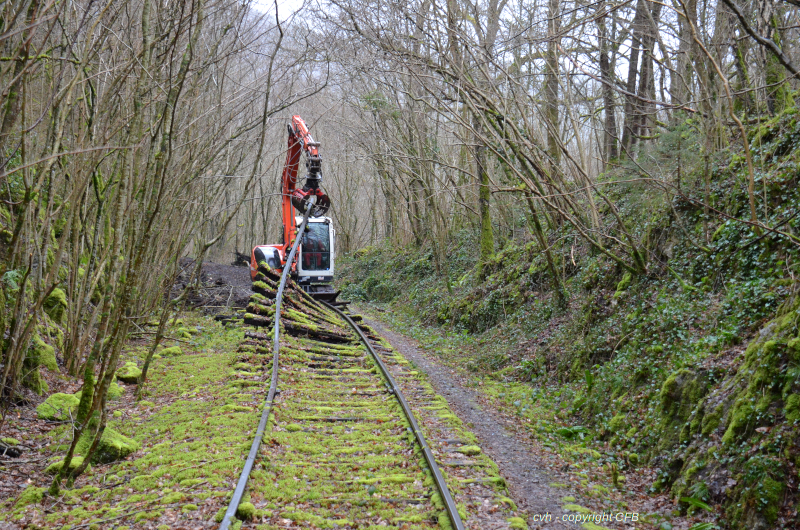 a train traveling down train tracks near a forest