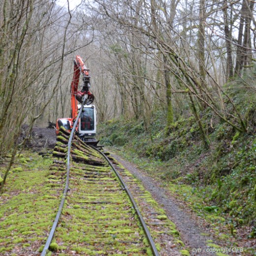 a train traveling down train tracks near a forest