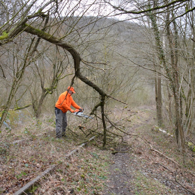a person in a wooded area