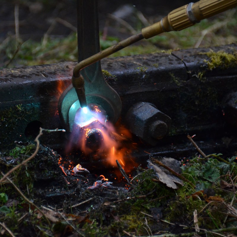 a fire hydrant in the grass