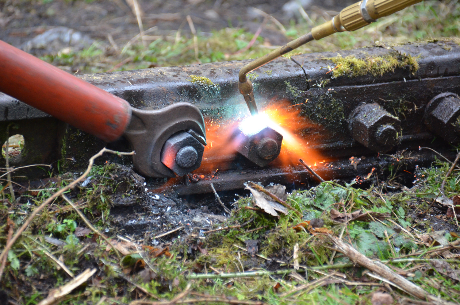 Bauche_20200228_9VH_5071