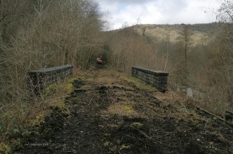 a close up of a dry grass field