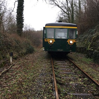 a train traveling down train tracks near a forest