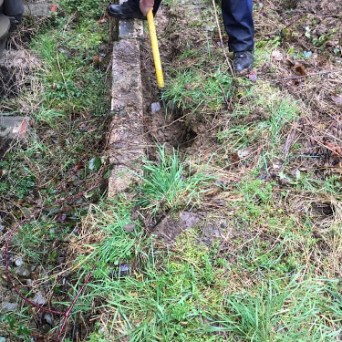 a person standing next to a forest