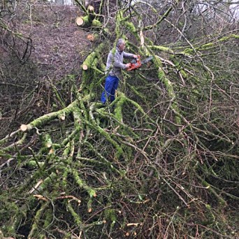 a person sitting in a tree