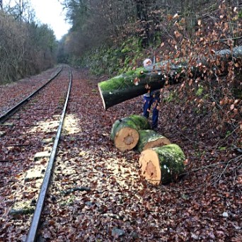 a train that is sitting in the middle of a forest