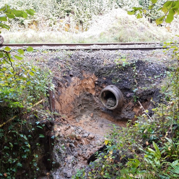 a fire hydrant in the middle of a forest
