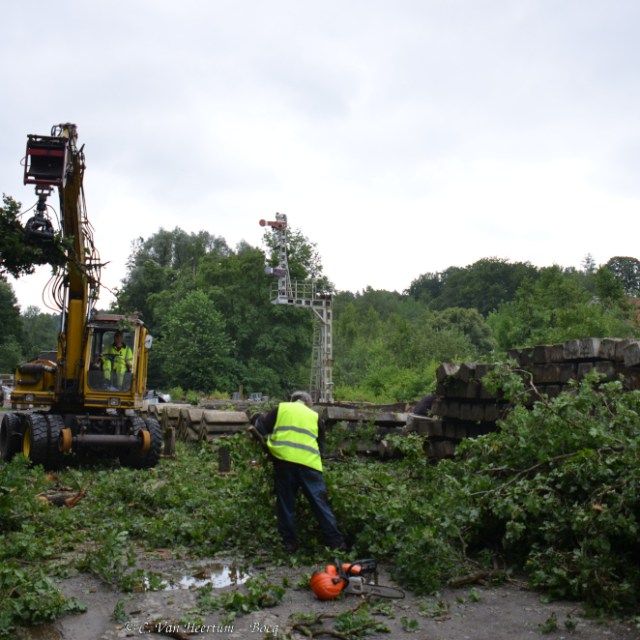 a person standing in front of a school bus