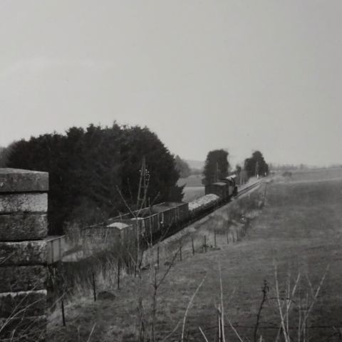 a train traveling down train tracks near a field