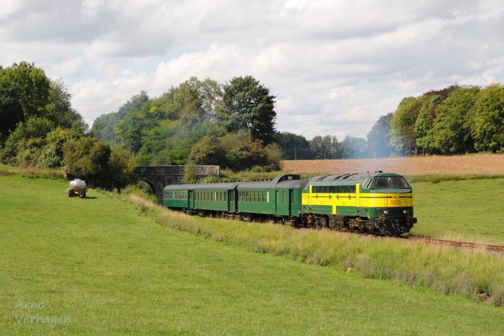 a train traveling through a lush green field