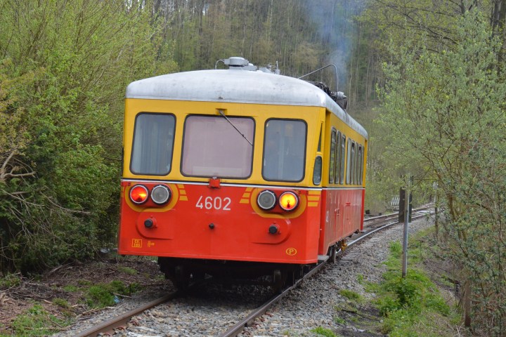 a train traveling down train tracks near a forest