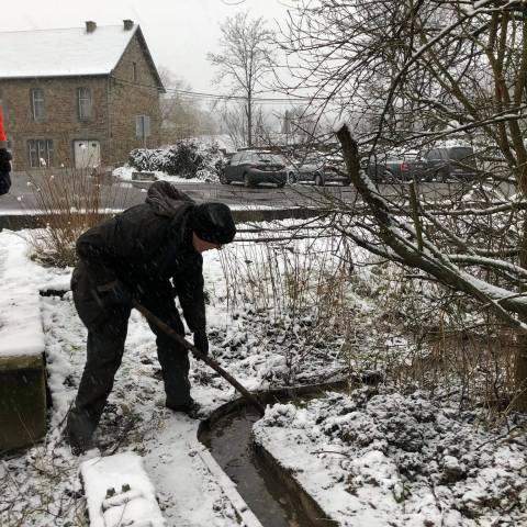 a man and a dog walking in the snow