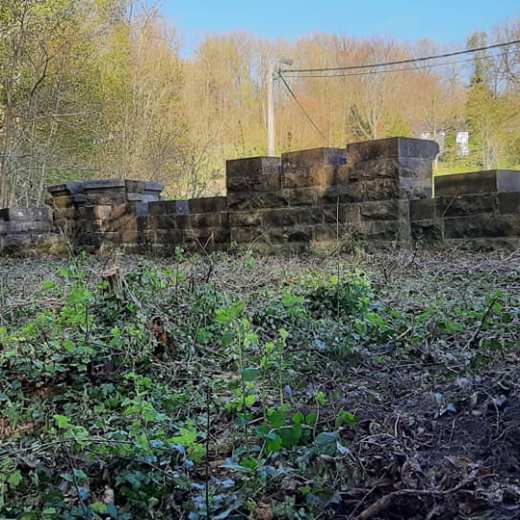 a tree in front of a house
