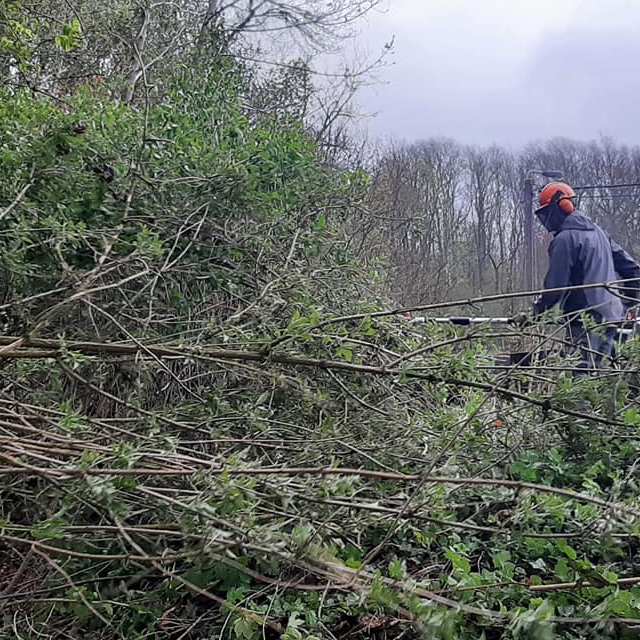 a man standing next to a forest with Kakum National Park in the background