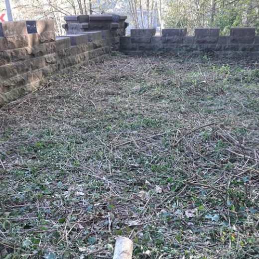 a pile of green grass