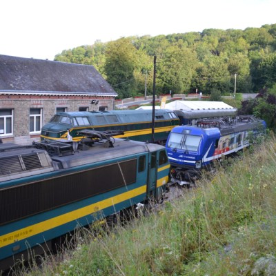 a train is parked on the grass