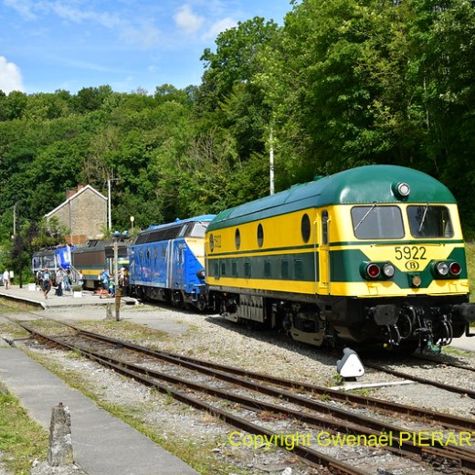 a blue train traveling down train tracks near a forest