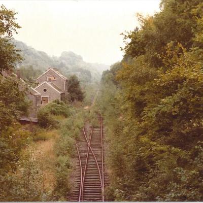a train traveling down train tracks near a forest