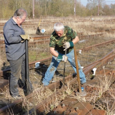 a group of people standing on hay