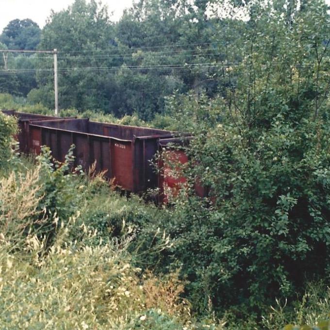 a train traveling down train tracks near a forest