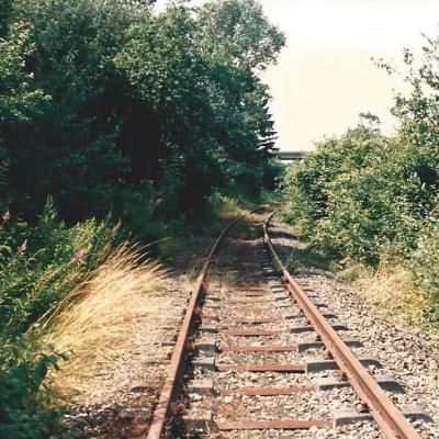 a train traveling down train tracks near a forest