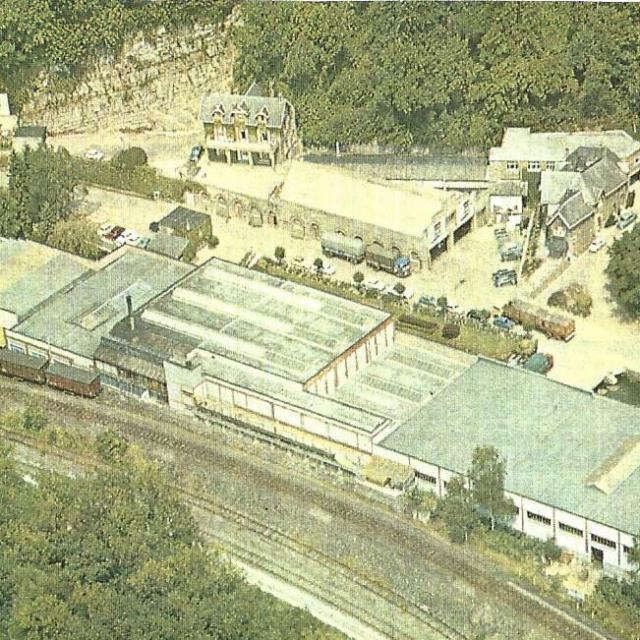 a close up of some grass