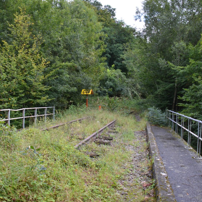 a path with trees on the side of a fence