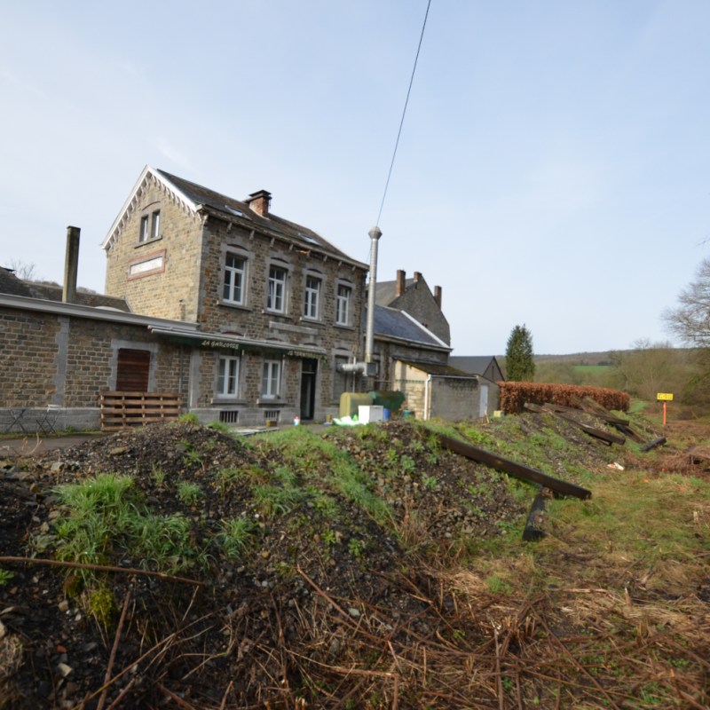 a path with trees on the side of a building