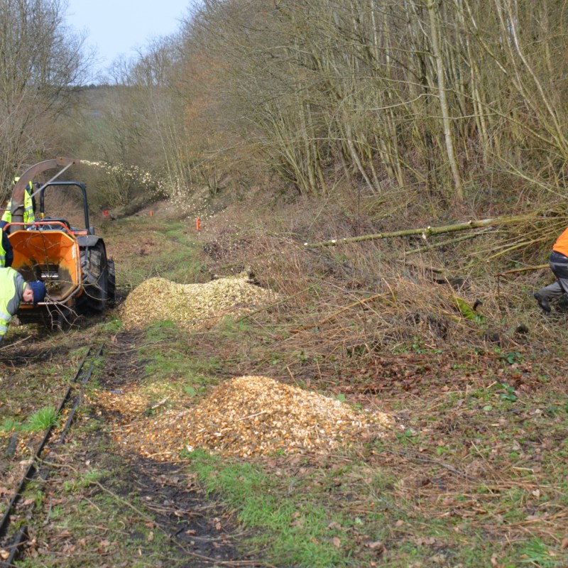 a couple of people that are standing in the grass