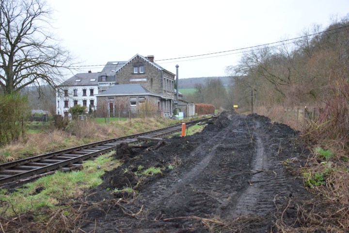 a train traveling down train tracks near a forest
