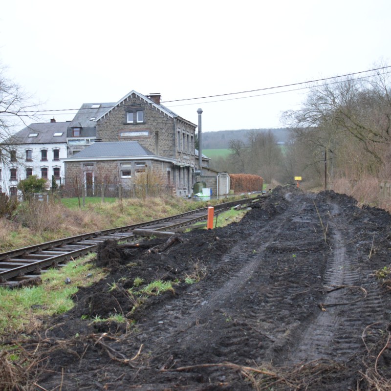a train traveling down train tracks near a forest