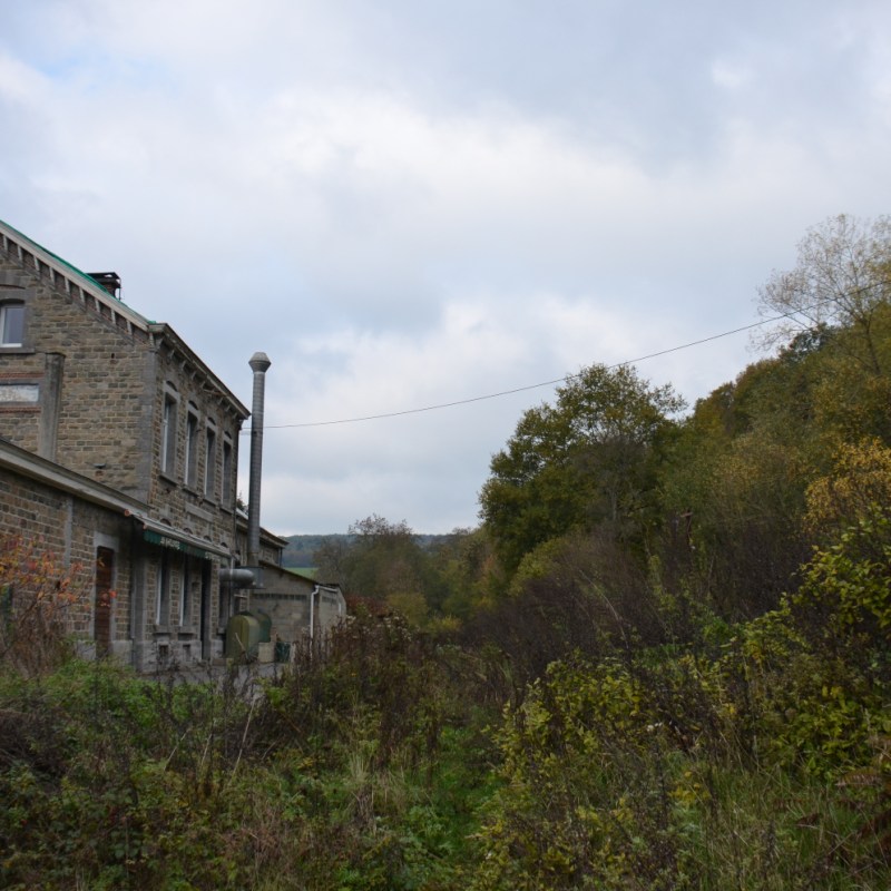 a house with trees in the background