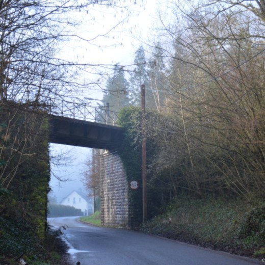 a path with trees on the side of a building