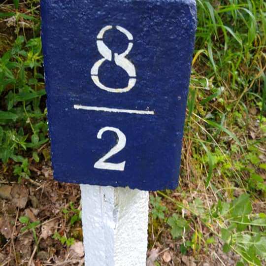 a blue sign sitting in the grass
