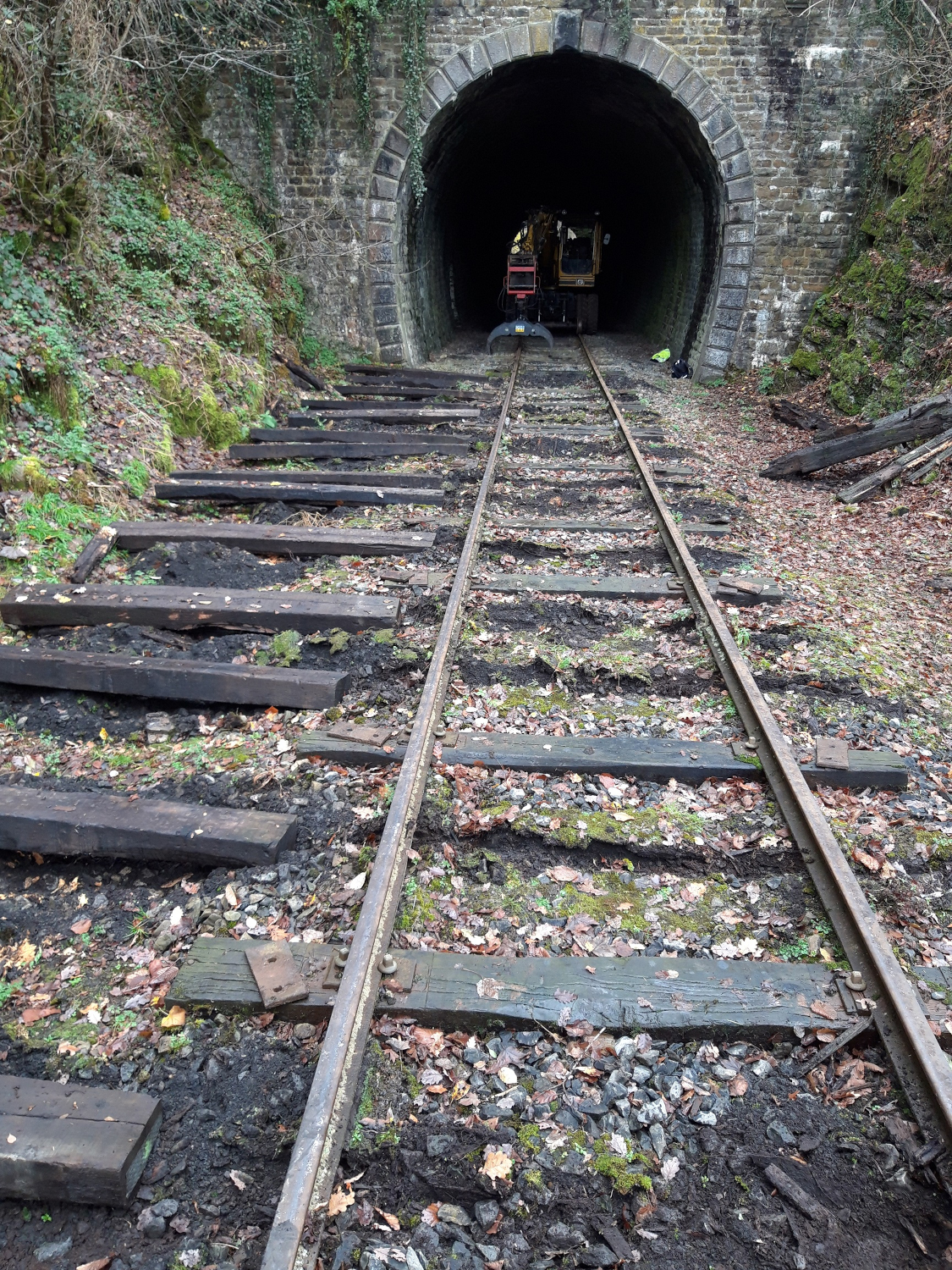 a tunnel in the middle of a park bench