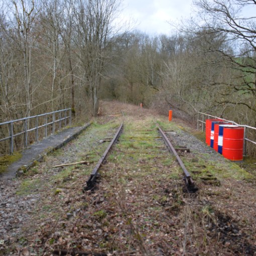 a train traveling down a dirt road