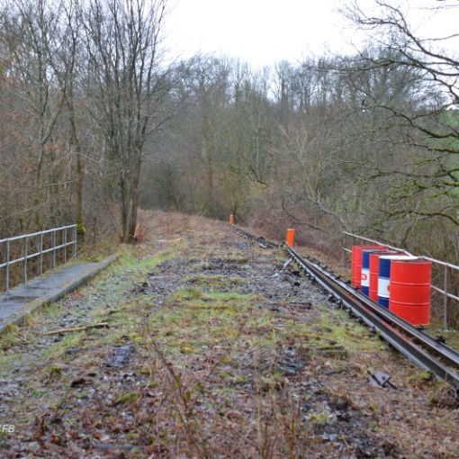 a train traveling down train tracks near a forest