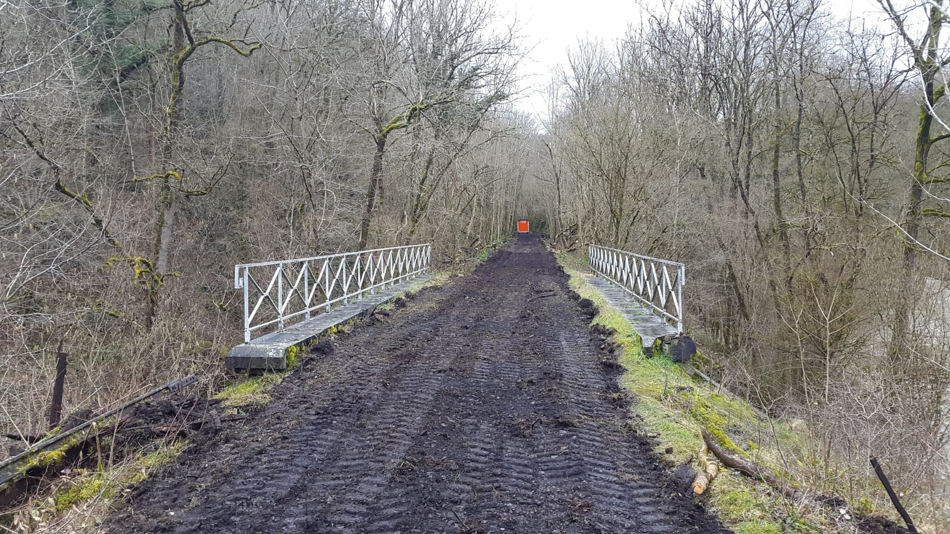 a train traveling down train tracks near a forest