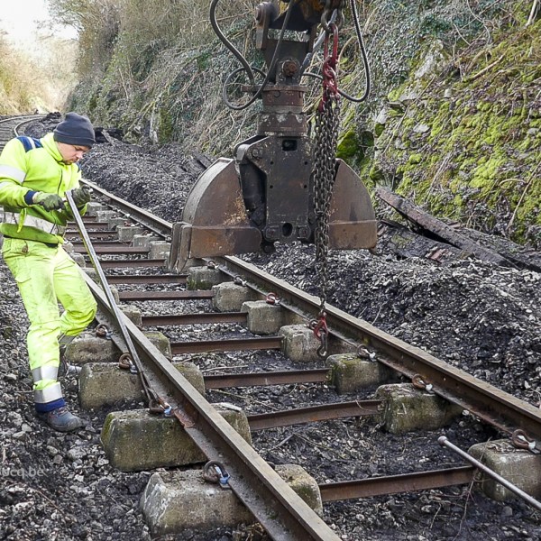 a train traveling down train tracks near a forest