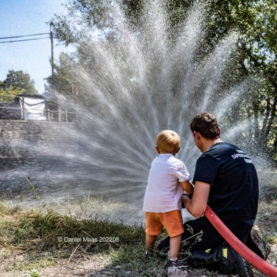 a person standing next to a tree