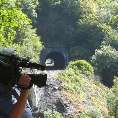 a person driving a forest