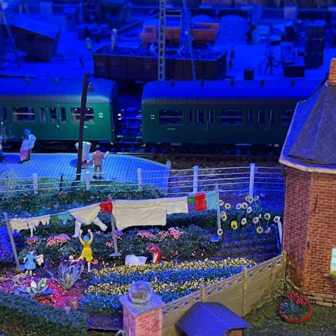 a large purple umbrella