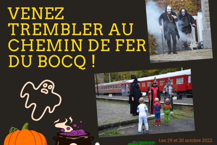 graphical user interface, website