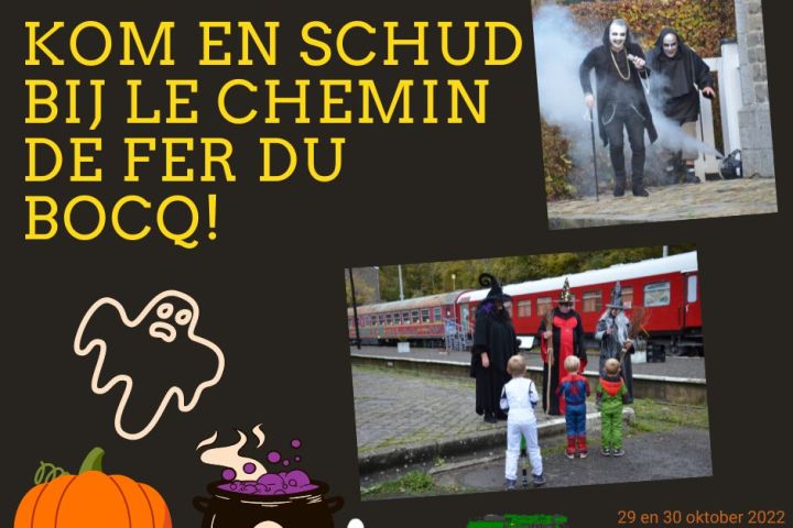 graphical user interface, website