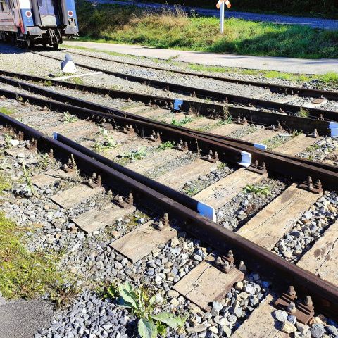 a group of people on a train track