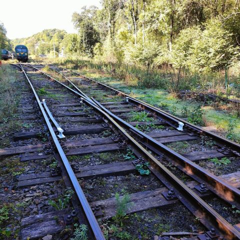 a train traveling down train tracks near a forest