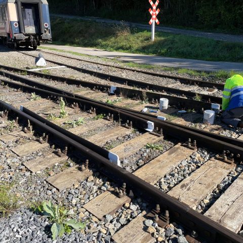 a group of people on a train track