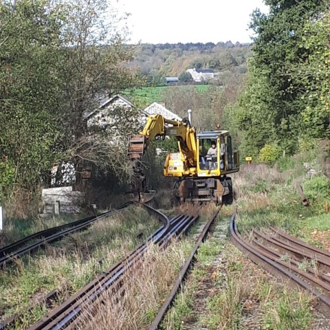 a train traveling down train tracks near a forest